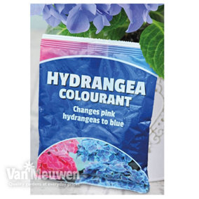 Hydrangea Plant -  Colourant 100g Sachet x 4