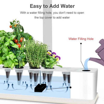 Back To The Roots Hydroponic Grow Kit With LED Lights | Indoor Garden With Organic Seeds Everything Included