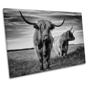 I am the Boss Scottish Highland Cow Black and White CANVAS WALL ART Print Picture (H)40cm x (W)61cm