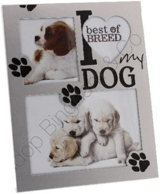 My dog hotsell photo frame