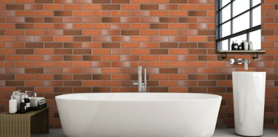 Ibstock Alderley Cottage Blend Brick 65mm Mini Pack 250 - 6