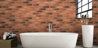 Ibstock Betley Cottage Blend Brick 65mm Mini Pack 250 - 6