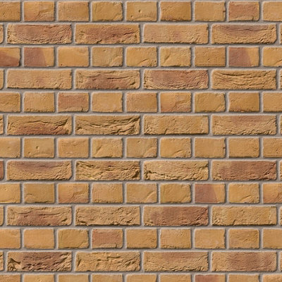 Ibstock Bradgate Golden Purple Brick 65mm Mini Pack 250 - 8