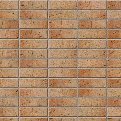 Ibstock Grainger Gold Brick 65mm Mini Pack 250 - 7
