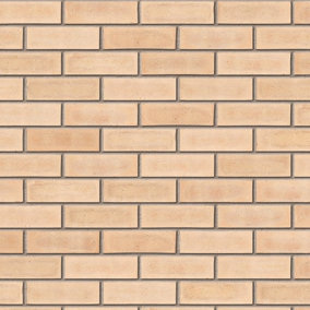 Ibstock Hardwicke Minster Cream Blend Brick 65mm Mini Pack 250