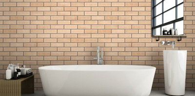 Ibstock Hardwicke Minster Cream Blend Brick 65mm Mini Pack 250 - 6