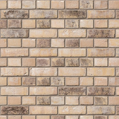 Ibstock Ivanhoe Cream Brick 65mm Mini Pack 250 - 8