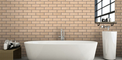 Ibstock Mixed Buff Rustic 65mm Mini Pack 250 - 6
