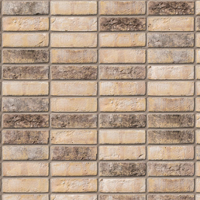 Ibstock New Ivanhoe Cream Brick 65mm Mini Pack 250 - 7