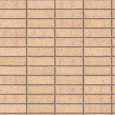 Ibstock Oatmeal Textured Brick 65mm Mini Pack 250 - 7