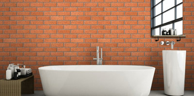 Ibstock Ravenhead Red Rustic Brick 65mm Mini Pack 250 - 6