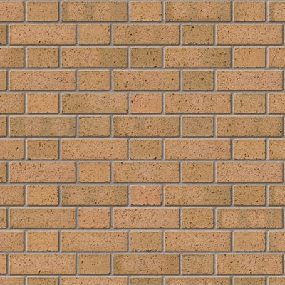 Ibstock Sandalwood Brick 65mm Mini Pack 250