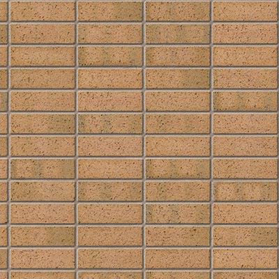 Ibstock Sandalwood Brick 65mm Mini Pack 250 - 7