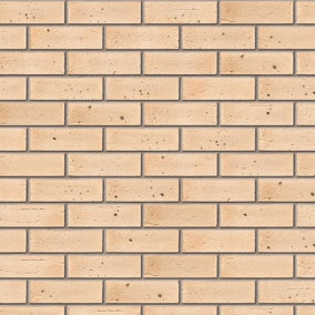 Ibstock Sandringham Brick 65mm Mini Pack 250