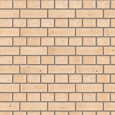 Ibstock Sandringham Brick 65mm Mini Pack 250 - 8