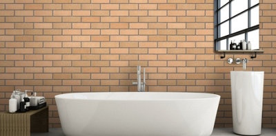 Ibstock Tradesman Millgate Buff Brick 65mm Mini Pack 250 - 6