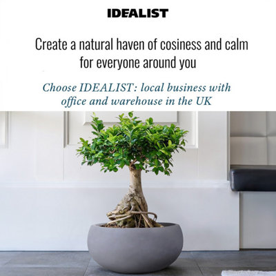 IDEALIST™ 11.8 Inch Bowl Planter, Light Grey Reinforced Stone Garden Shallow Planter, Large Bonsai Pot W30 H14 cm, 10L