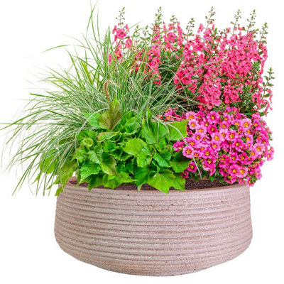 IDEALIST™ 12 Inch Bowl Planter, Large Bonsai Pot, Ribbed Taupe Reinforced Stone Garden Shallow Planter D31 H12cm