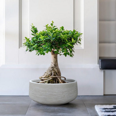 IDEALIST 12 Inch Bowl Planter, Ribbed Beige Reinforced Stone Shallow  Planter, Large Bonsai Pot, Outdoor