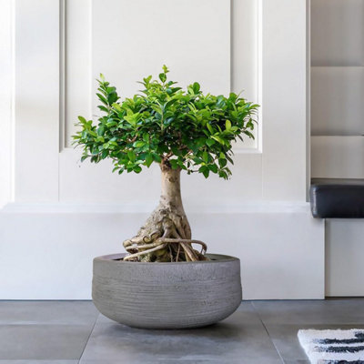 IDEALIST™ 12 Inch Bowl Planter, Ribbed Grey Reinforced Stone Shallow Planter, Large Bonsai Pot, Outdoor Plant Pot D31 H12 cm, 9L