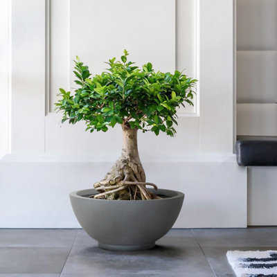 IDEALIST™ 13.8 Inch Bowl Planter, Light Grey Reinforced Stone Garden Shallow Planter, Large Bonsai Pot D35 H16 cm, 16L