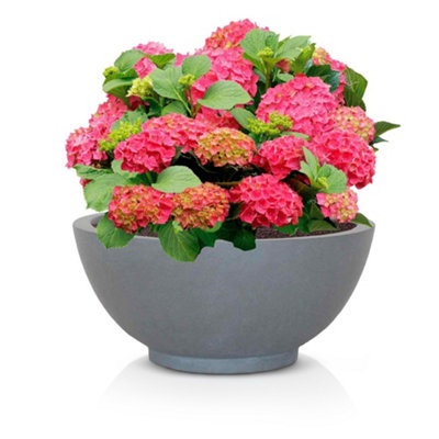IDEALIST™ 17.7 Inch Bowl Planter, Light Grey Reinforced Stone Garden Shallow Planter, Large Bonsai Pot D45 H20 cm, 32L