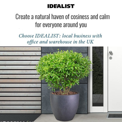 IDEALIST™ 35cm Round Planter, Dark Grey Reinforced Stone Garden Planter, Outdoor Plant Pot D35 H32 cm, 30L