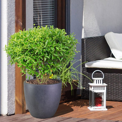 IDEALIST™ 35cm Round Planter, Dark Grey Reinforced Stone Garden Planter, Outdoor Plant Pot D35 H32 cm, 30L