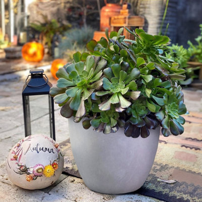 IDEALIST™ 35cm Round Planter, Grey Reinforced Stone Garden Planter, Outdoor Plant Pot D35 H32 cm, 30L