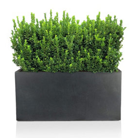 IDEALIST™ 60cm Trough Planter, Dark Grey Reinforced Stone Rectangular Planter, Outdoor Large Plant Pot L60 W30 H30 cm, 54L