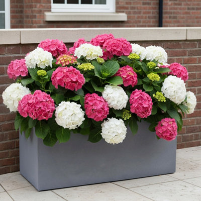 IDEALIST™ 65cm Trough Garden Planter, Grey Reinforced Stone Rectangular Planter, Outdoor Large Plant Pot H30 L65 W19 cm, 37L