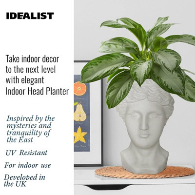 IDEALIST Antique Face Planter, White Stone Effect Pot Cover, Indoor Head Plant Pot for Indoor Plants L27 W24 H39 cm, 9.5L