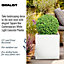 IDEALIST Contemporary Flower Box Square Garden Planter, White Light Concrete Outdoor Large Plant Pot H50 L50 W50 cm, 126L