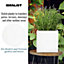 IDEALIST Contemporary Flower Box Square Garden Planter, White Light Concrete Outdoor Plant Pot H25 L25 W25 cm, 16L