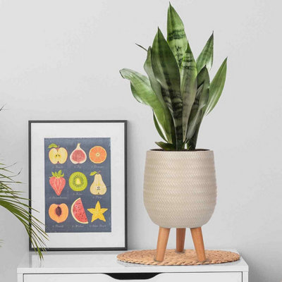 IDEALIST™ (Dia) 15cm Beige Reinforced Stone Flower Pot, Plaited Indoor Plant Pot on Legs D15 H34 cm