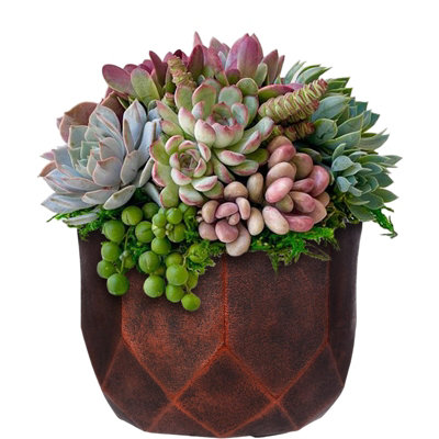 IDEALIST™ (Dia) 19cm Round Planter, Bronze Reinforced Stone Indoor Bowl Plant Pot for Indoor Plants D19 H17 cm, 4L