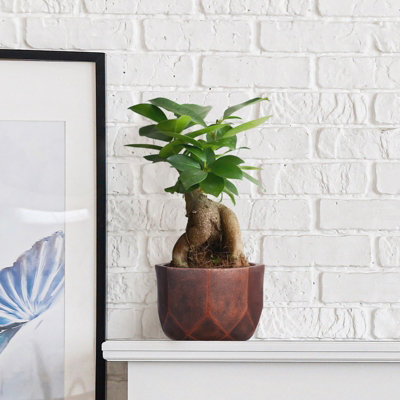 IDEALIST™ (Dia) 19cm Round Planter, Bronze Reinforced Stone Indoor Bowl Plant Pot for Indoor Plants D19 H17 cm, 4L