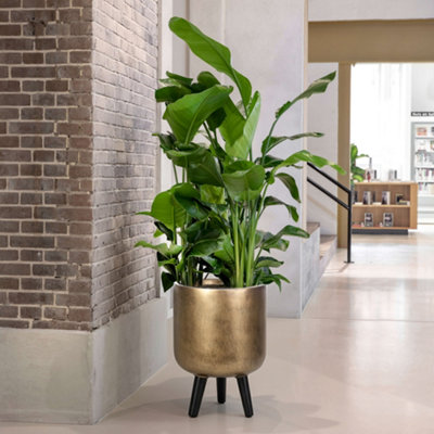 IDEALIST™ (Dia) 21cm Round Planter with Legs, Gold Reinforced Stone ...