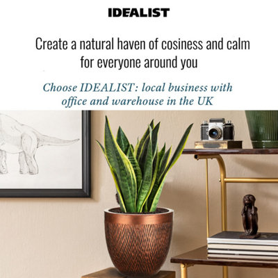 IDEALIST™ (Dia) 22cm Bronze Metallic Reinforced Stone Flower Pot, Round Planter, Indoor Plant Pot for Indoor Plants D22 H24 cm