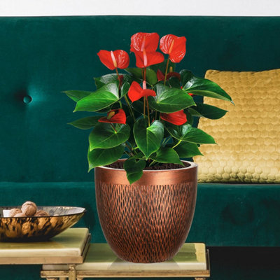 IDEALIST™ (Dia) 22cm Bronze Metallic Reinforced Stone Flower Pot, Round Planter, Indoor Plant Pot for Indoor Plants D22 H24 cm
