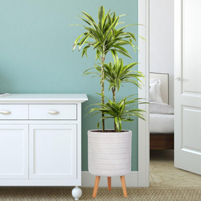IDEALIST™ (Dia) 26cm White Reinforced Stone Flower Pot, Plaited Cylinder Planter on Wooden Legs, Indoor Plant Pot D26 H46 cm, 17L