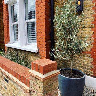 IDEALIST™ (Dia) 46cm Egg Round Planter, Dark Grey Reinforced Stone Garden Planter, Outdoor Plant Pot for Trees D46 H45 cm, 75L