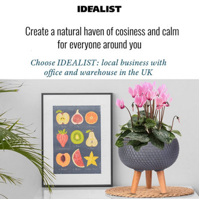 IDEALIST™ (Dia) 9.1 Inch Grey Reinforced Stone Flower Pot, Bowl Planter on Legs, Shallow Indoor Plant Pot D23 H25 cm, 7L