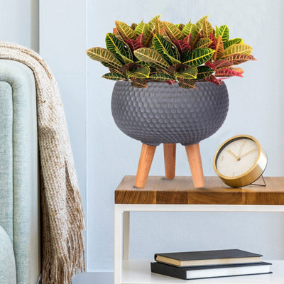 IDEALIST™ (Dia) 9.1 Inch Grey Reinforced Stone Flower Pot, Bowl Planter on Legs, Shallow Indoor Plant Pot D23 H25 cm, 7L