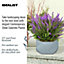 IDEALIST Geometry Style Grey Bowl Planter Outdoor Plant Pot D58 H28 cm, 73L
