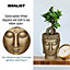 IDEALIST Gold Face Head Buddha Face Planter Table, Oval Indoor Head Plant Pot for Indoor Plants L19 W18 H24 cm, 2.6L
