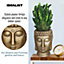 IDEALIST Gold Face Head Buddha Face Planter Table, Oval Indoor Head Plant Pot for Indoor Plants L26.5 W25 H34 cm, 8.4L