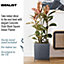IDEALIST Hammered Stone Style Black Square Indoor Planter on Metal Stand H35 L30 W30 cm, 22L