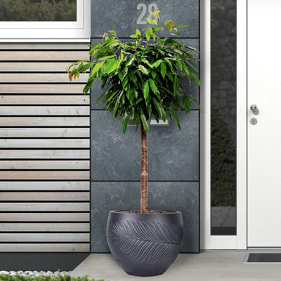 IDEALIST�™ (Inner Top Dia) 41cm Round Plant Pot, Leaf Embossed Black Reinforced Stone Planter, Outdoor Large Plant Pot W50 H38 cm