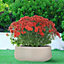 IDEALIST Large Ribbed Taupe Light Concrete Garden Bowl Planter, Outdoor Plant Pot H18 D43 cm, 26L